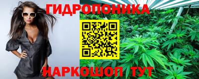 прущая мука Лесосибирск