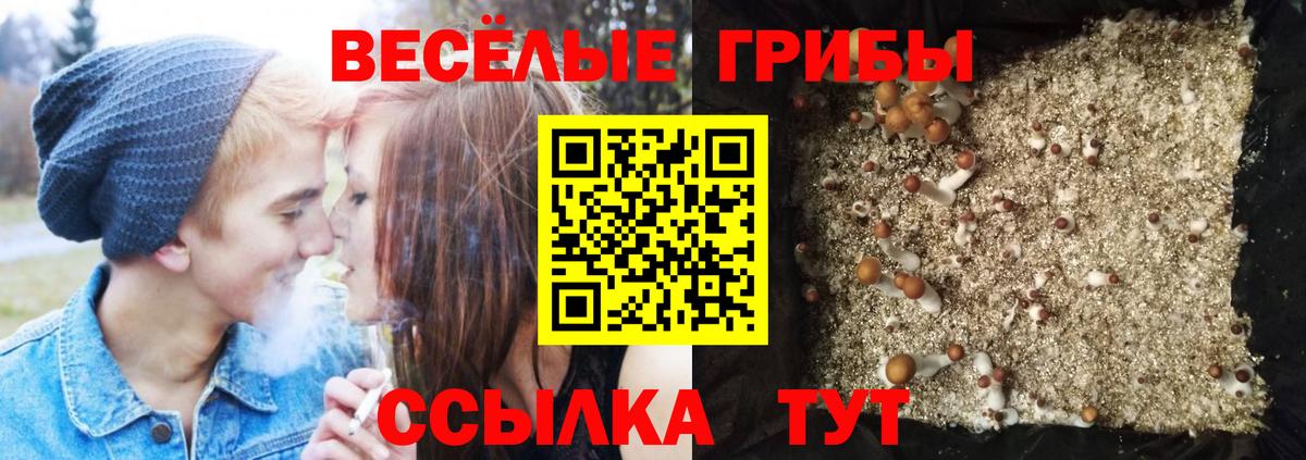 Галлюциногенные грибы Magic Shrooms  Вход с VPN  купить наркоту  Реж 